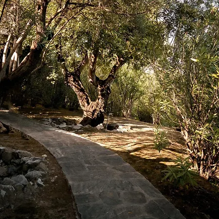 Quinta La Colina - Rancho Domingo Villa
