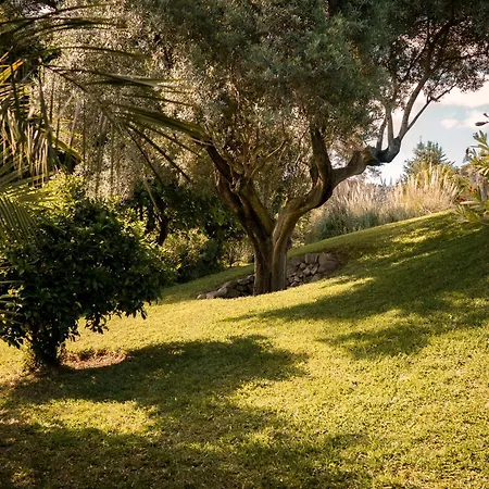 Villa 7,000 Sqm Luxurious With Panoramic Sea Views Multiple Gardens & Two Pools